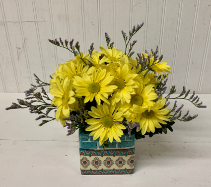 Daisy Sunshine
