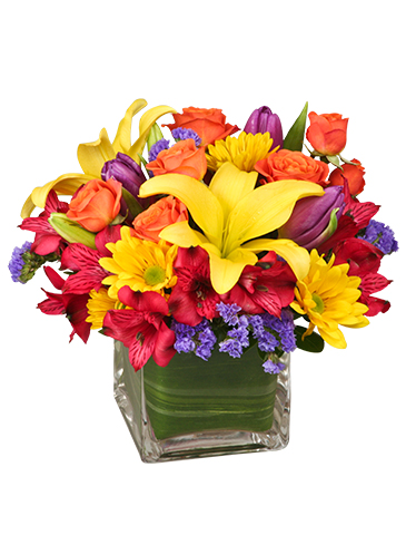 SUN-INFUSED FLOWERS Summer Arrangement in Tottenham, ON | TOTTENHAM FLOWERS & GIFTS