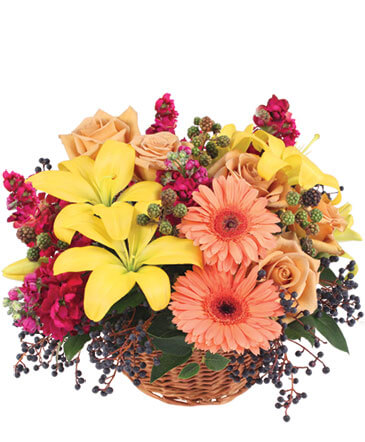 Sun-Kissed Country Floral Arrangement in Newmarket, ON | FLOWERS 'N THINGS FLOWER & GIFT SHOP