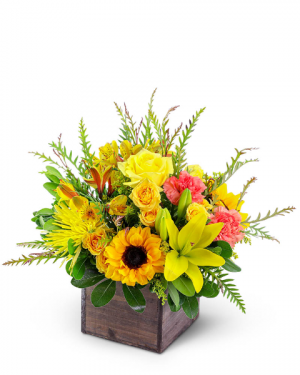 Sun-Kissed Favorite Flower Arrangement in Nevada, IA | Flower Bed Sun-Kissed Favorite Flower Arrangement in Nevada, IA | Flower Bed