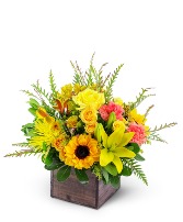Sun-Kissed Favorite Flower Arrangement