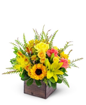 Sun-Kissed Favorite Flower Arrangement