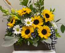 Sun Kissed Harvest Local Delivery