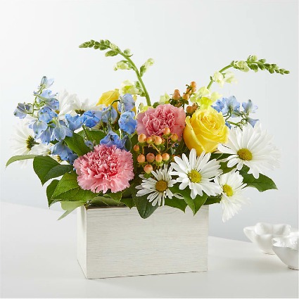 Sun Salutation Box Bouquet 