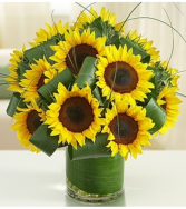 Sun-Sational Sunflowers™ Arrangement