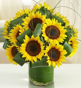 Sun-Sational Sunflowers fresh flowers