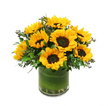 Sunny Flowers Best Selller