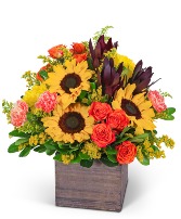 Sunbeam Luxe Flower Arrangement