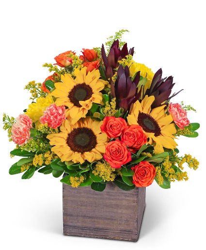 Sunbeam Luxe Flower Arrangement