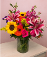 Sunburst Bloom Celebration