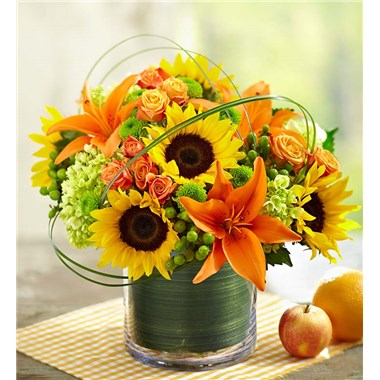 Sunburst Bouquet Vase Arrangement