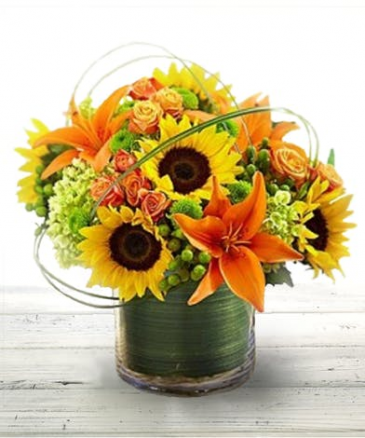 Sunburst FALL