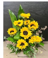 Sunburst Serenity  Cube arrangement 