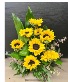 Sunburst Serenity  Cube arrangement 