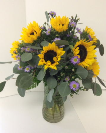 Sundance Sunflowers