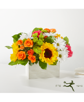 Sundrenched Blooms Box 