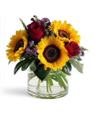 Sunfire Celebration Arrangement