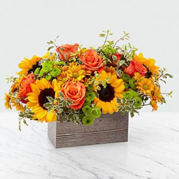 Sunflower and Rose Box Autumn Arrangement