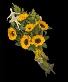 Sunflower Ballerina Presentation Bouquet FHF-BB021 Local availability only