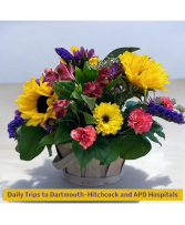 Sunflower Basket Arrangement (LGOE)