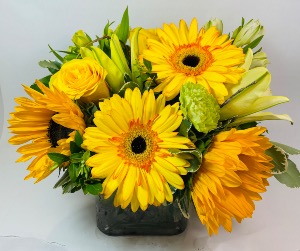 Sunflower Blooms  Vase 