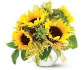  Sunflowers Bouquet 