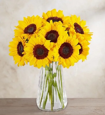 Sunflower Bouquet  in Brooklyn, NY | MARY'S FLORIST CORP.