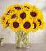 Sunflower Bouquet 