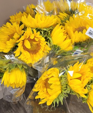 Sunflower Bouquet Handwrapped