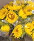 Sunflower Bouquet Handwrapped