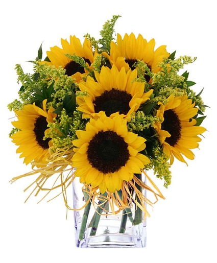 Sunflower Bouquet In A Cube Vase