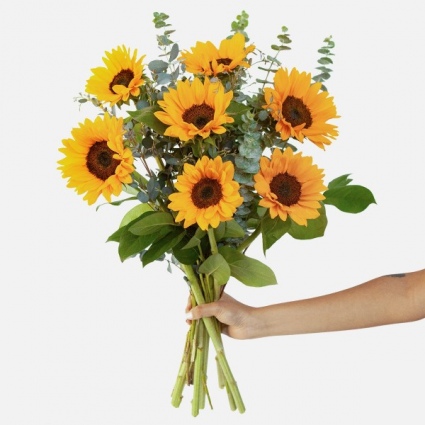 Sunflower Bundle  