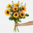 Sunflower Bundle  