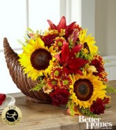 Sunflower cornucopia  
