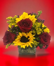 Sunflower Cube  Cube Vase