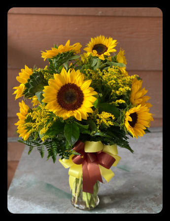 Sunflower Delight