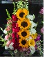 Sunflower designer choice basket 