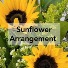 SUNFLOWER - DESIGNERS MIX Vase Arrangement
