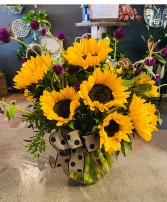 Sunflower Dreams  