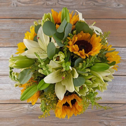 SUNFLOWER DREAMS SUNFLOWER DREAMS