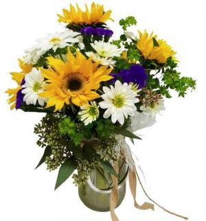 Sunflower Fields in Hesperia, CA | ACACIA'S COUNTRY FLORIST Sunflower Fields in Hesperia, CA | ACACIA'S COUNTRY FLORIST