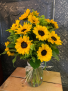 Sunflower Fields 