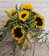 Sunflower Fields 