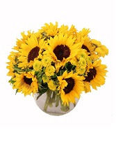 Sunflower for Fall 