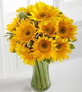 Sunflower Galore Spring