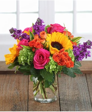 Sunflower Garden Sunflowers, Roses, and mixed seasonal flowers