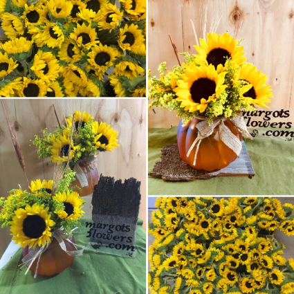 Sunflower Goodness ***Margot’s Own Special-Local delivery radius 