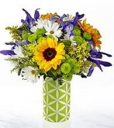 Sunflower Green Look Sunflower arrangement