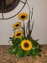 Sunflower Heaven 
