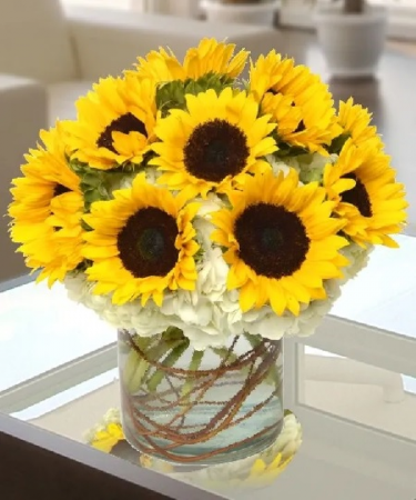 Sunflower & Hydrangea  Arrangement